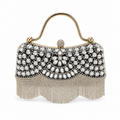 Crystal Cascade Fringe Clutch